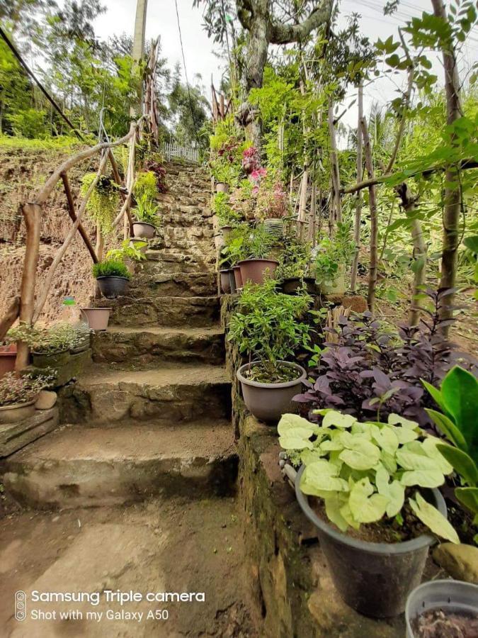 Biwon Homestay Ella Luaran gambar