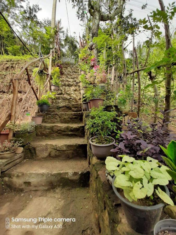 Biwon Homestay Ella Luaran gambar
